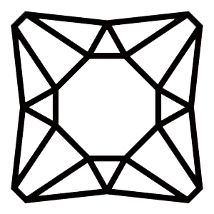 Engagement -Princess Cut