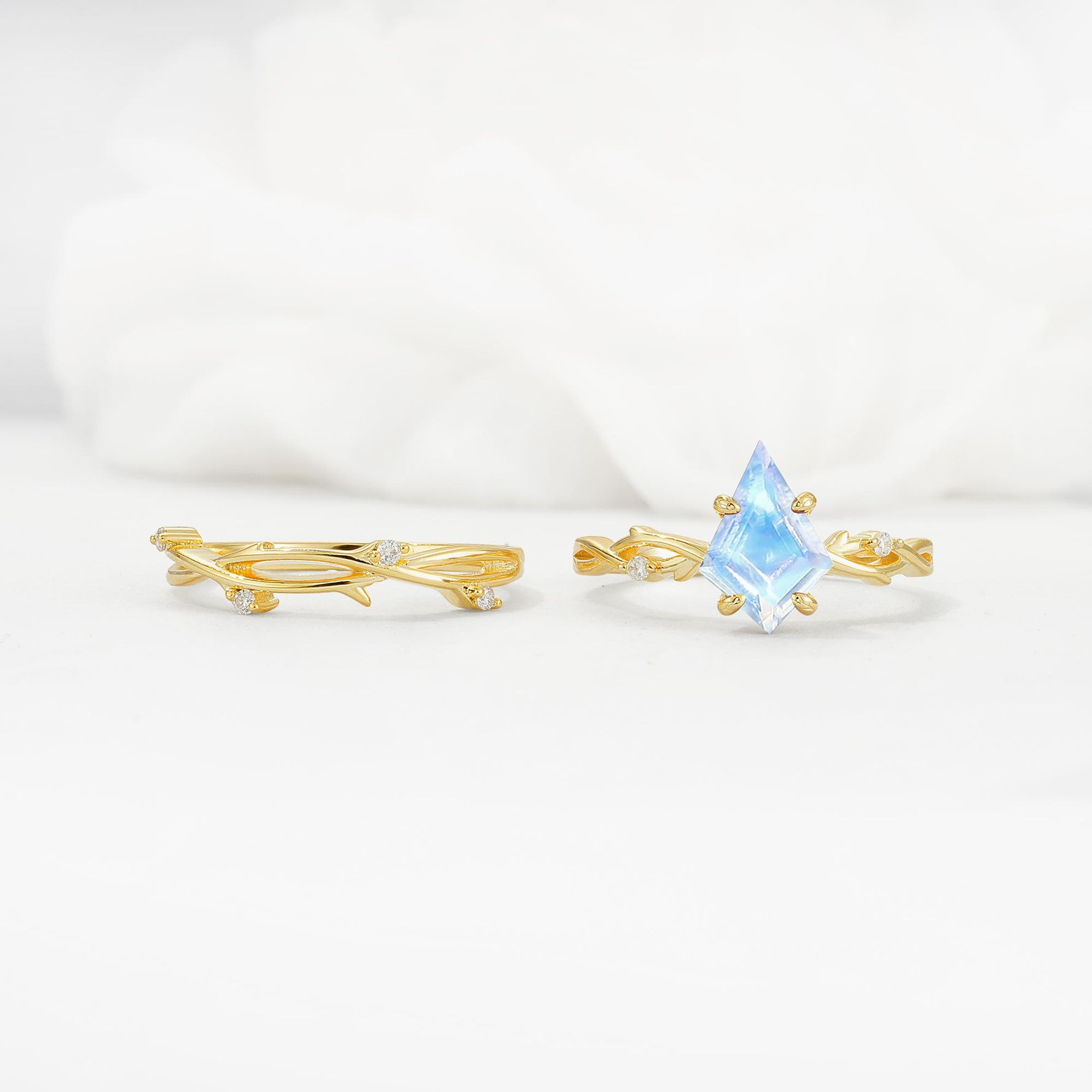 Nature-Inspired Kite Cut Moonstone Engagement Ring Set with Vine Accents - White-Gold
