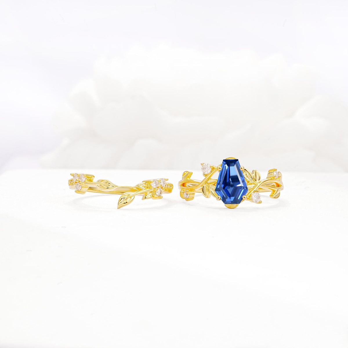Nature-Inspired Coffin Cut Sapphire Engagement Ring Set with Leaf Accents - White-Gold