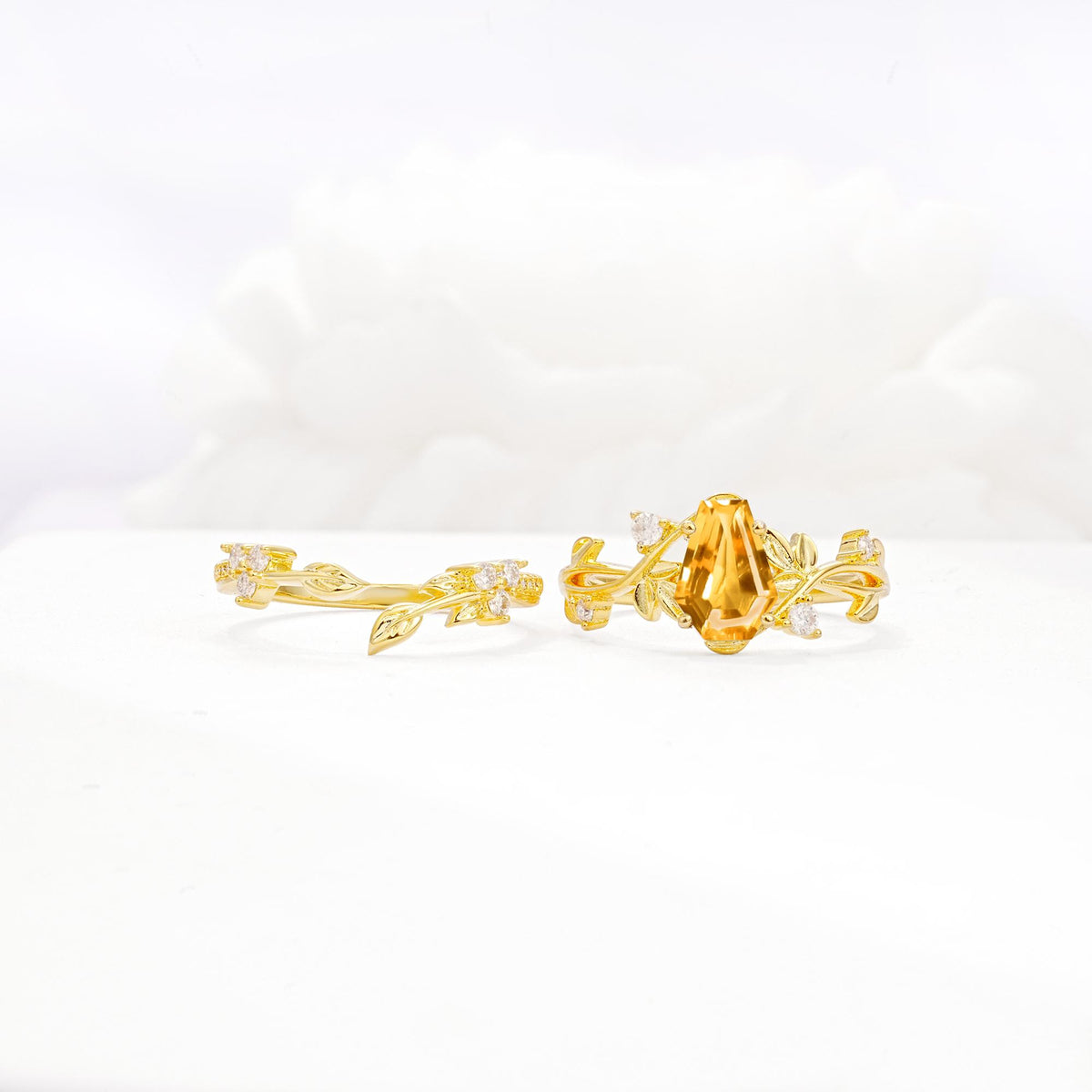 Nature-Inspired Coffin Cut Citrine Engagement Ring Set with Leaf Accents - White-Gold