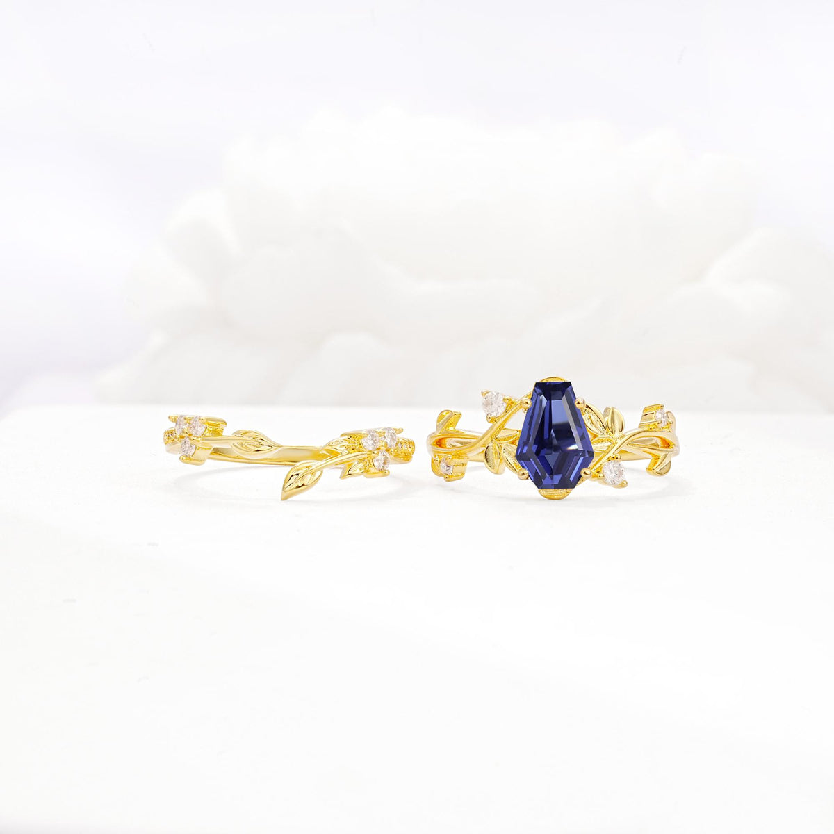 Nature-Inspired Coffin Cut Tanzanite Engagement Ring Set with Leaf Accents - White-Gold