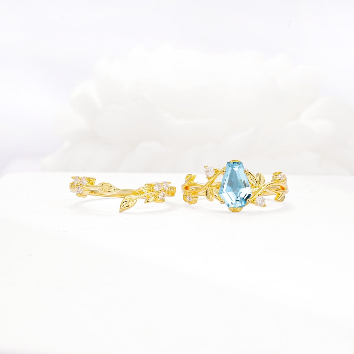 Nature-Inspired Coffin Cut Aquamarine Engagement Ring Set with Leaf Accents - White-Gold