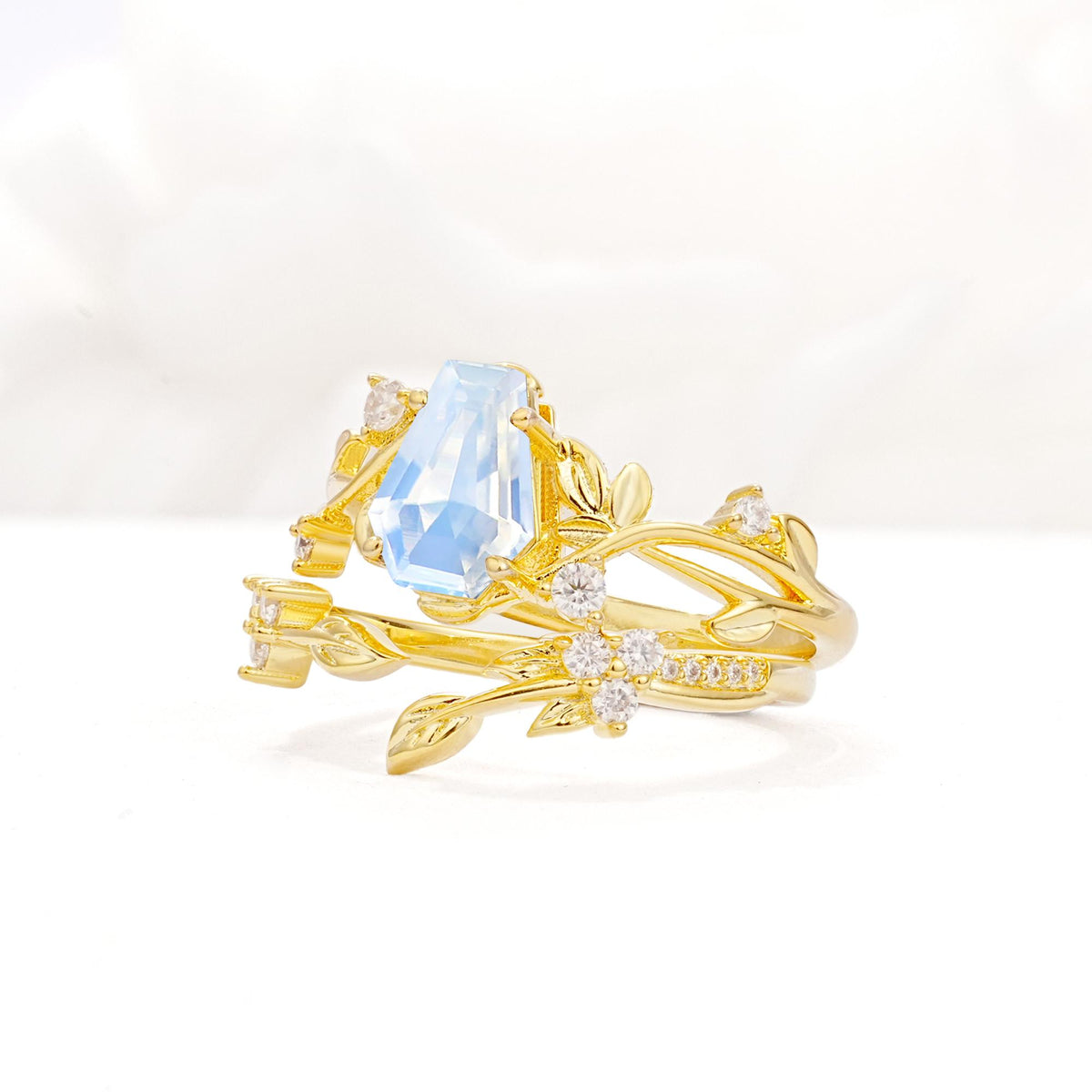 Nature-Inspired Coffin Cut Moonstone Engagement Ring Set with Leaf Accents - Rose-Gold