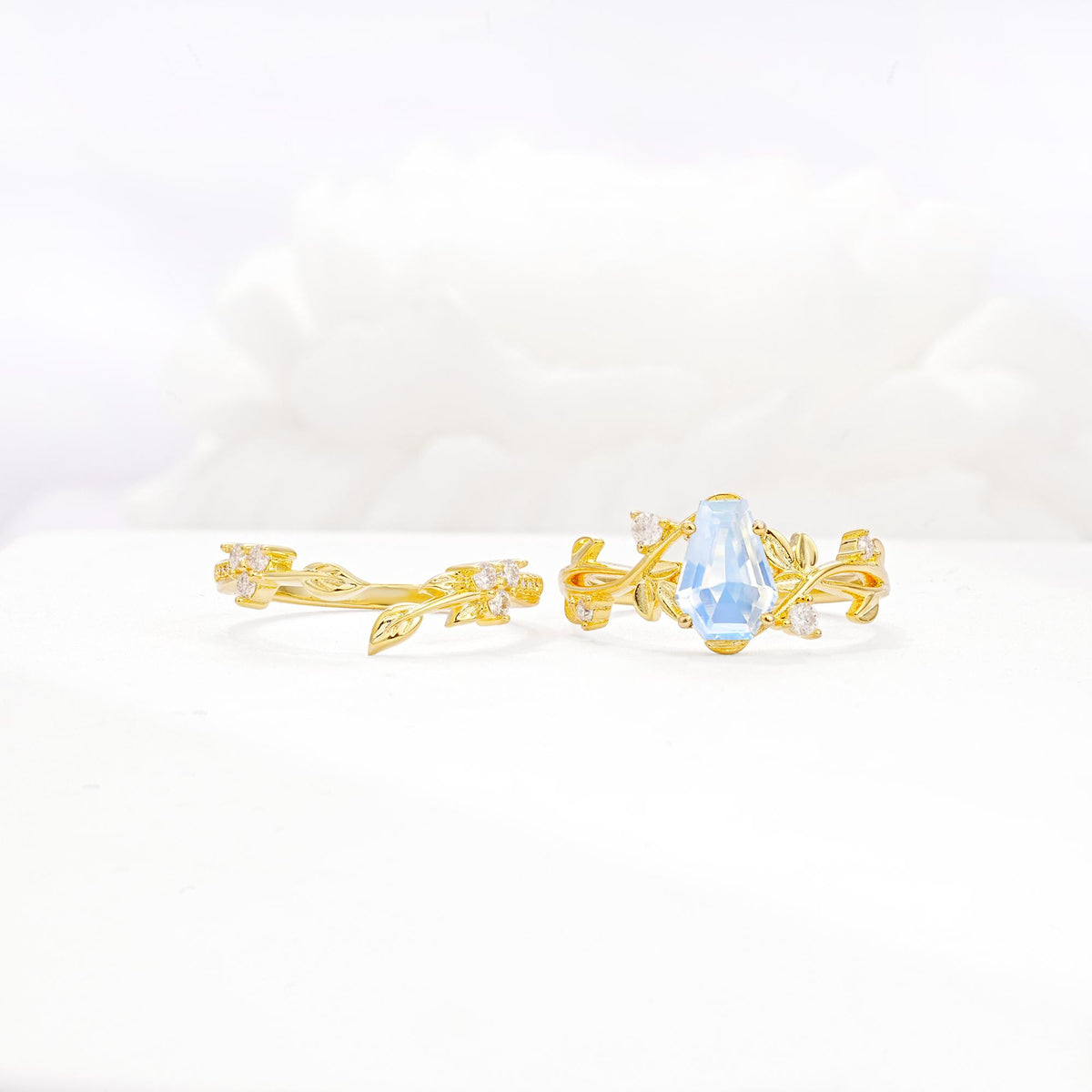 Nature-Inspired Coffin Cut Moonstone Engagement Ring Set with Leaf Accents - White-Gold