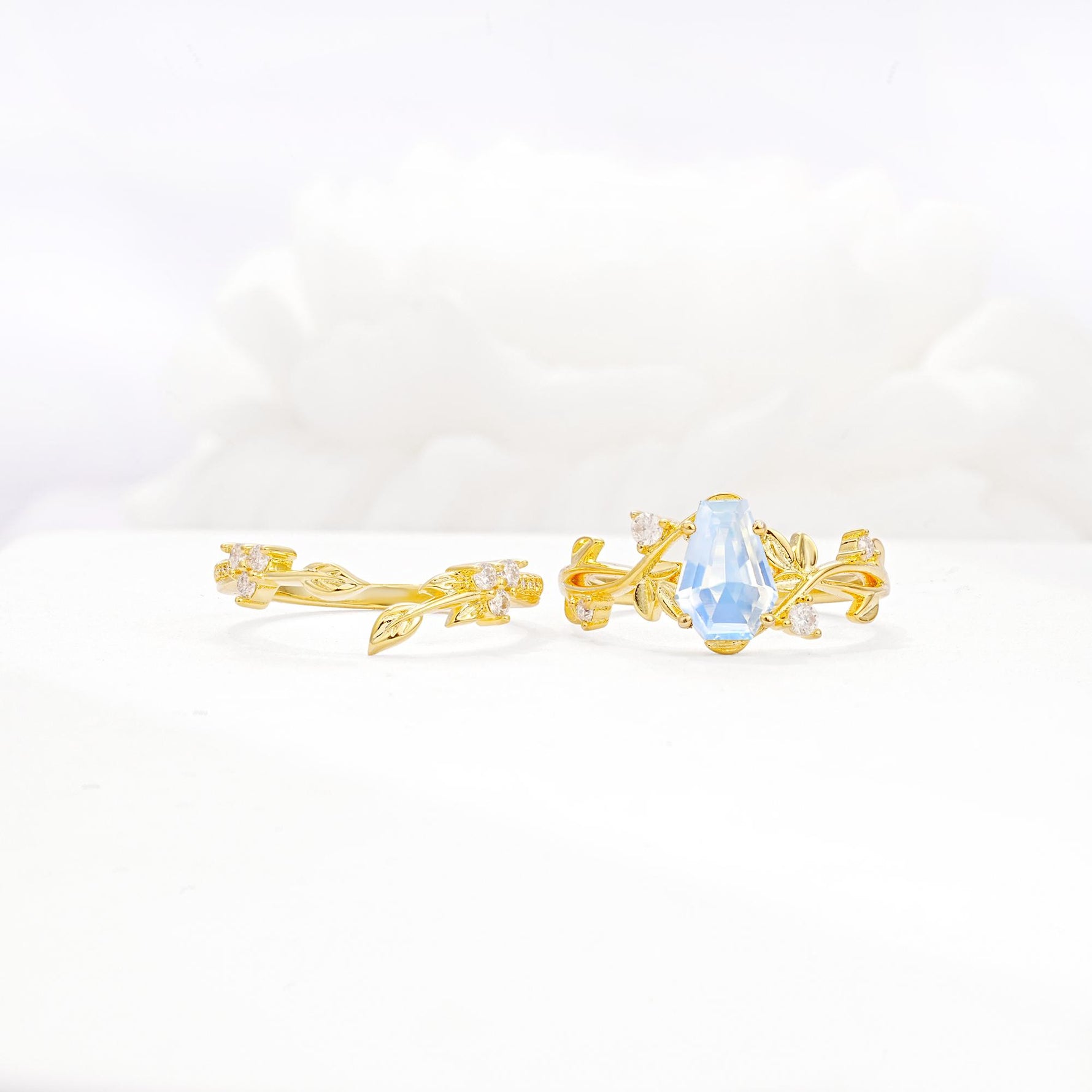 Nature-Inspired Coffin Cut Moonstone Engagement Ring Set with Leaf Accents - White-Gold